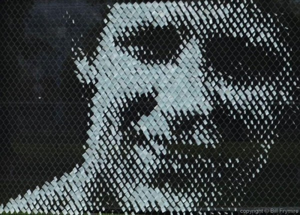 Terry Fox Mosaic close up