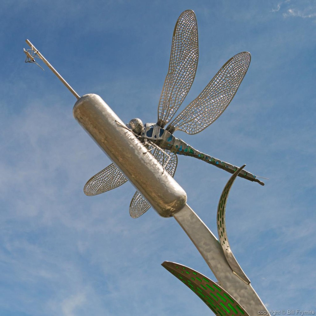 Eyes on the Prize Sculpture