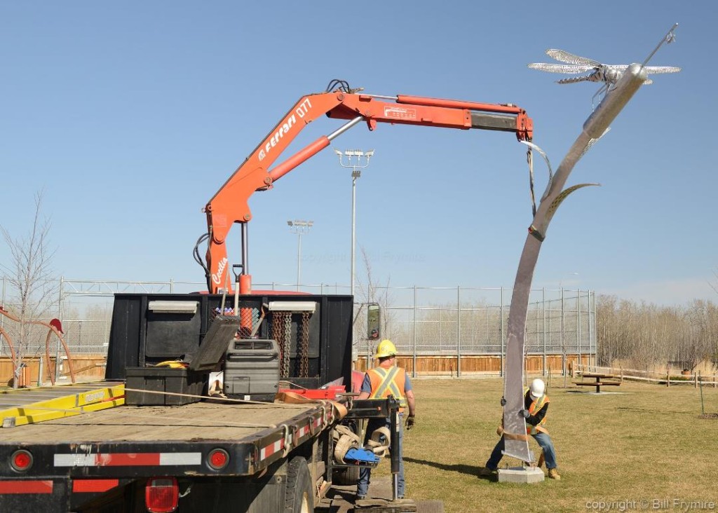 Installation with the help of Fred Nash from Art of the Move . "The "Dragonfly has landed"