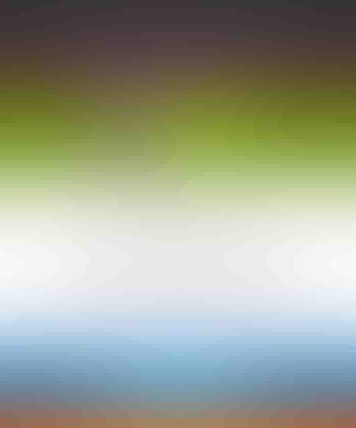 unlimited_colors_3_v01