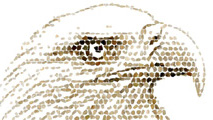 https://www.frymire-art.com/wp-content/uploads/2014/09/Agate-Eagle-render4.jpg